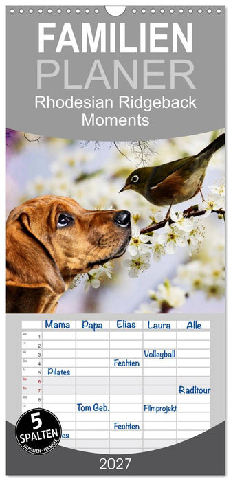 Rhodesian Ridgeback - Moments (CALVENDO Familienplaner 2027)