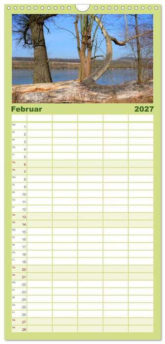 Wald und Baum 2027 (CALVENDO Familienplaner 2027)