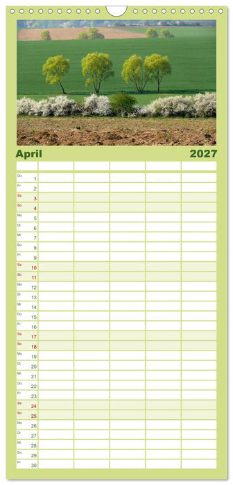 Wald und Baum 2027 (CALVENDO Familienplaner 2027)