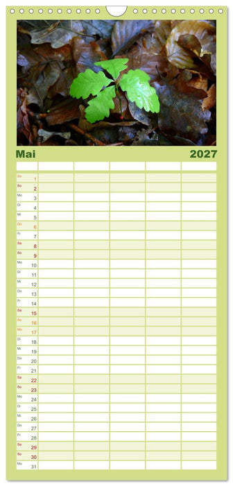 Wald und Baum 2027 (CALVENDO Familienplaner 2027)