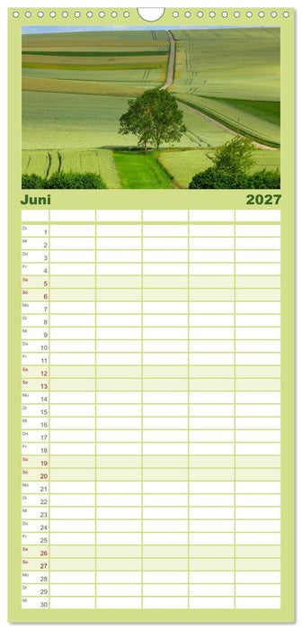 Wald und Baum 2027 (CALVENDO Familienplaner 2027)