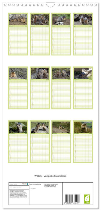Wildlife - Verspielte Murmeltiere (CALVENDO Familienplaner 2027)