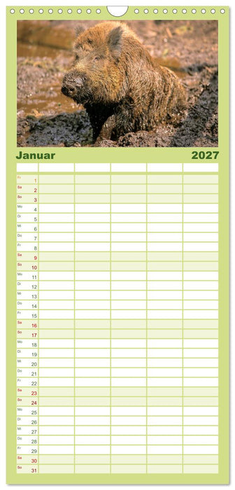 Tiere des Waldes (CALVENDO Familienplaner 2027)