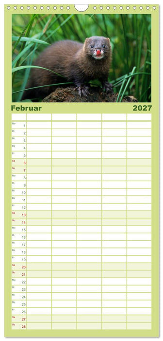 Tiere des Waldes (CALVENDO Familienplaner 2027)