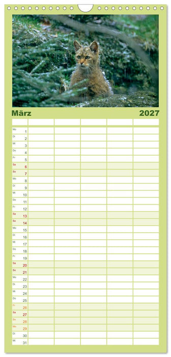 Tiere des Waldes (CALVENDO Familienplaner 2027)