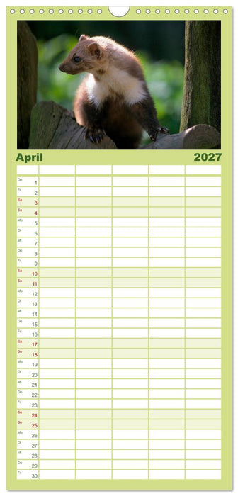 Tiere des Waldes (CALVENDO Familienplaner 2027)