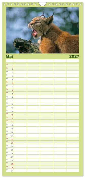 Tiere des Waldes (CALVENDO Familienplaner 2027)