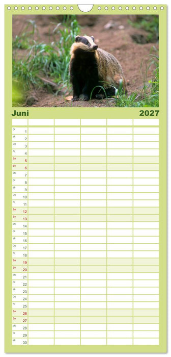 Tiere des Waldes (CALVENDO Familienplaner 2027)