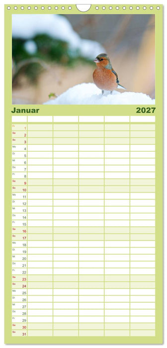 Heimische Vögel (CALVENDO Familienplaner 2027)