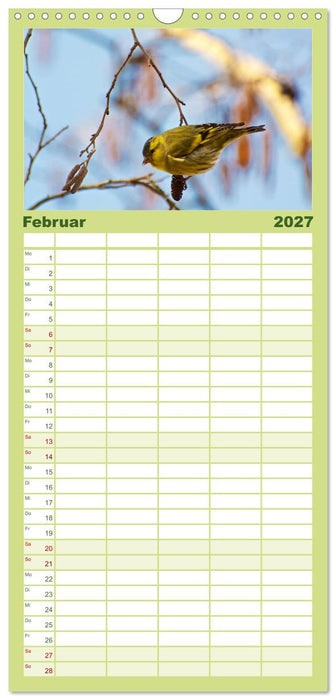 Heimische Vögel (CALVENDO Familienplaner 2027)
