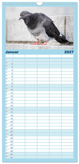 Geliebte Tauben (CALVENDO Familienplaner 2027)