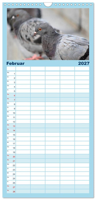 Geliebte Tauben (CALVENDO Familienplaner 2027)