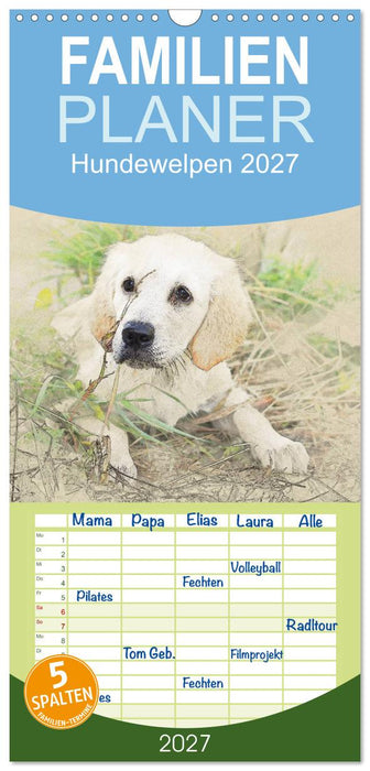 Hundewelpen 2027 (CALVENDO Familienplaner 2027)