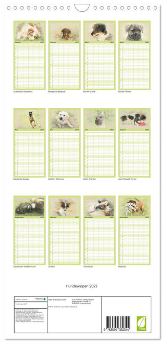 Hundewelpen 2027 (CALVENDO Familienplaner 2027)