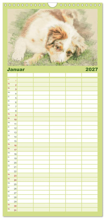 Hundewelpen 2027 (CALVENDO Familienplaner 2027)