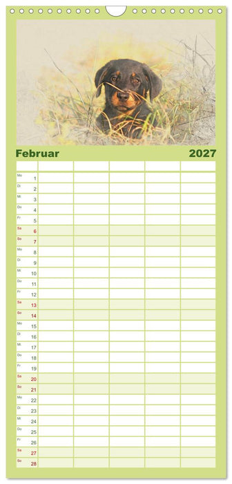 Hundewelpen 2027 (CALVENDO Familienplaner 2027)