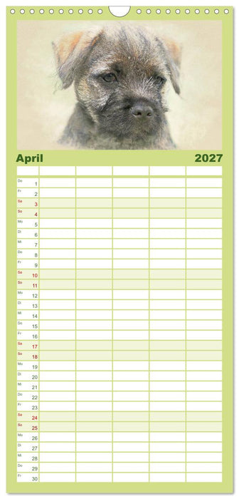 Hundewelpen 2027 (CALVENDO Familienplaner 2027)