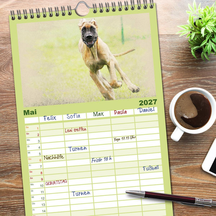 Hundewelpen 2027 (CALVENDO Familienplaner 2027)