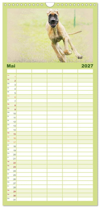 Hundewelpen 2027 (CALVENDO Familienplaner 2027)