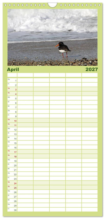 Helgoland (CALVENDO Familienplaner 2027)