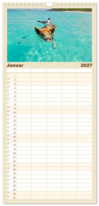 Schwimmende Schweine auf den Bahamas! (CALVENDO Familienplaner 2027)