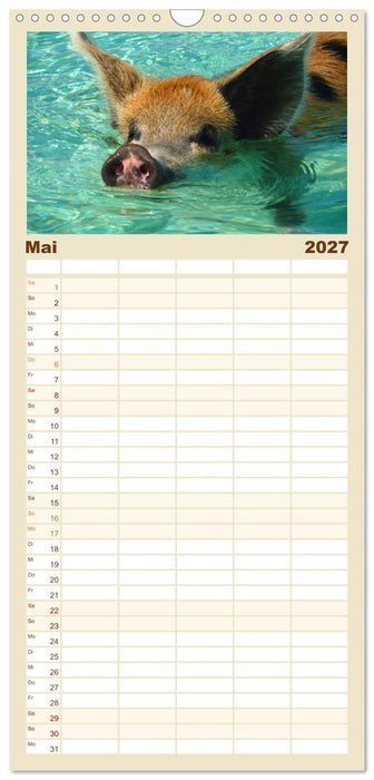 Schwimmende Schweine auf den Bahamas! (CALVENDO Familienplaner 2027)