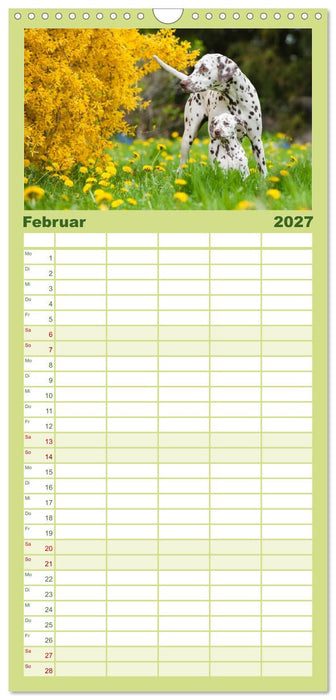 Dalmatiner (CALVENDO Familienplaner 2027)