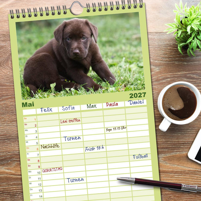 Labrador Welpen (CALVENDO Familienplaner 2027)
