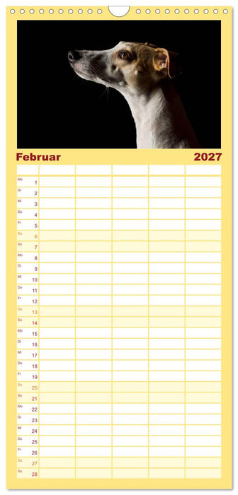 Bunte Pfoten (CALVENDO Familienplaner 2027)
