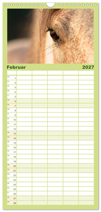 Wilde Pferde (CALVENDO Familienplaner 2027)