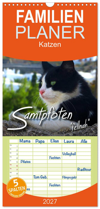 SAMTPFOTEN "fellnah" (CALVENDO Familienplaner 2027)