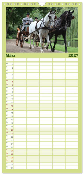 CIAT - Historischer Fahrsport in Celle (CALVENDO Familienplaner 2027)
