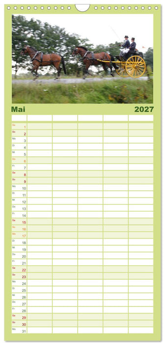 CIAT - Historischer Fahrsport in Celle (CALVENDO Familienplaner 2027)
