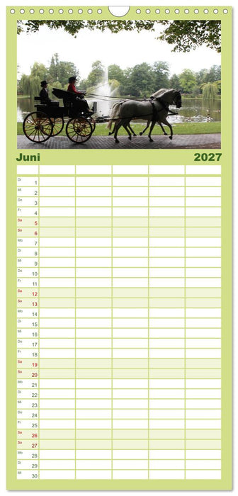 CIAT - Historischer Fahrsport in Celle (CALVENDO Familienplaner 2027)
