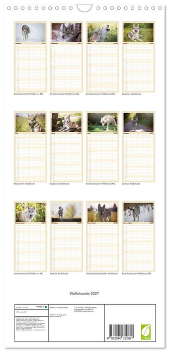 Wolfshunde 2027 (CALVENDO Familienplaner 2027)