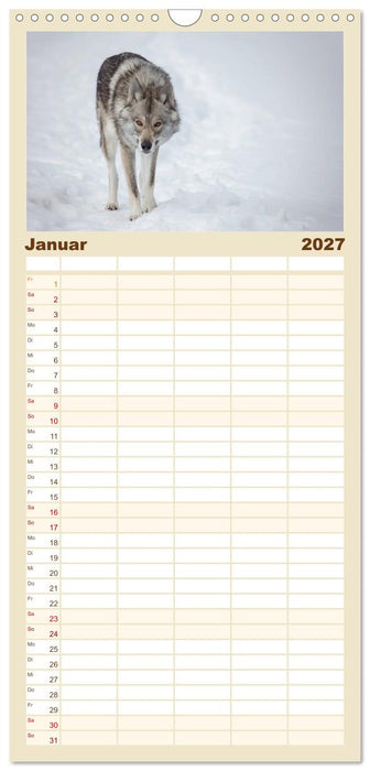 Wolfshunde 2027 (CALVENDO Familienplaner 2027)