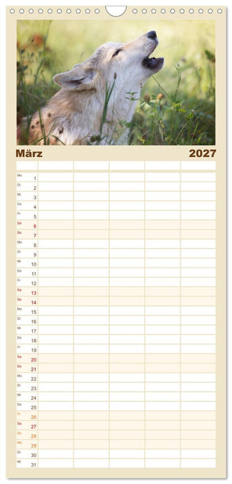 Wolfshunde 2027 (CALVENDO Familienplaner 2027)