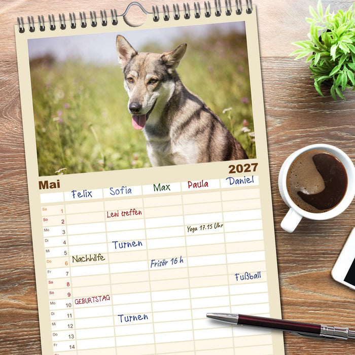 Wolfshunde 2027 (CALVENDO Familienplaner 2027)