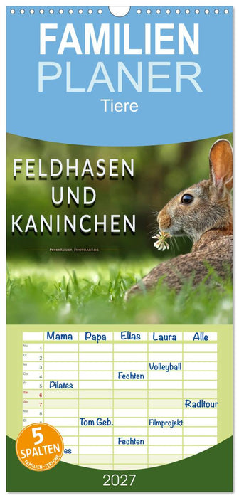 Feldhasen und Kaninchen (CALVENDO Familienplaner 2027)