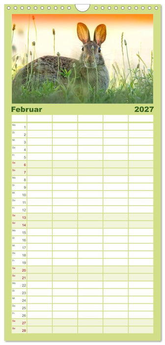 Feldhasen und Kaninchen (CALVENDO Familienplaner 2027)