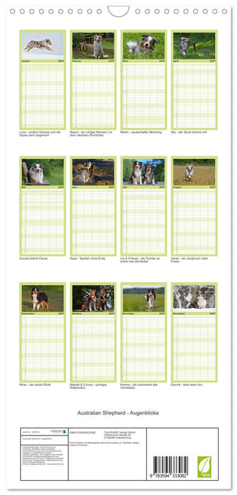Australian Shepherd - Augenblicke (CALVENDO Familienplaner 2027)