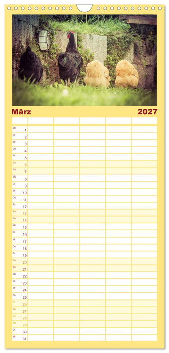 Hühner in meinem Garten (CALVENDO Familienplaner 2027)