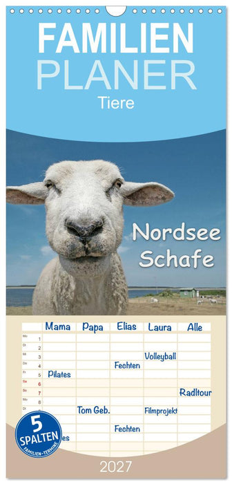 Nordsee Schafe (CALVENDO Familienplaner 2027)