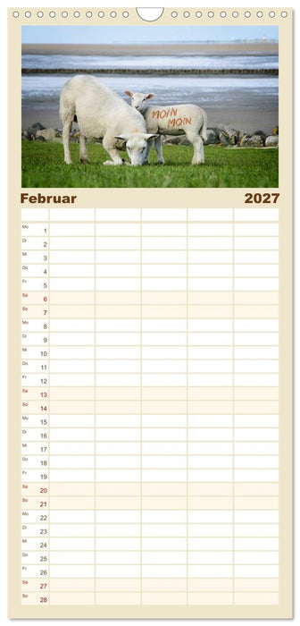 Nordsee Schafe (CALVENDO Familienplaner 2027)