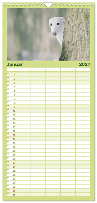 Der Windhundekalender (CALVENDO Familienplaner 2027)