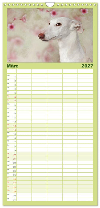 Der Windhundekalender (CALVENDO Familienplaner 2027)