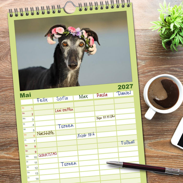 Der Windhundekalender (CALVENDO Familienplaner 2027)