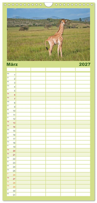 Tierische Glücksmomente (CALVENDO Familienplaner 2027)