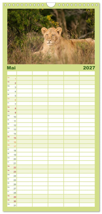 Tierische Glücksmomente (CALVENDO Familienplaner 2027)