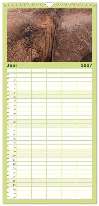Tierische Glücksmomente (CALVENDO Familienplaner 2027)